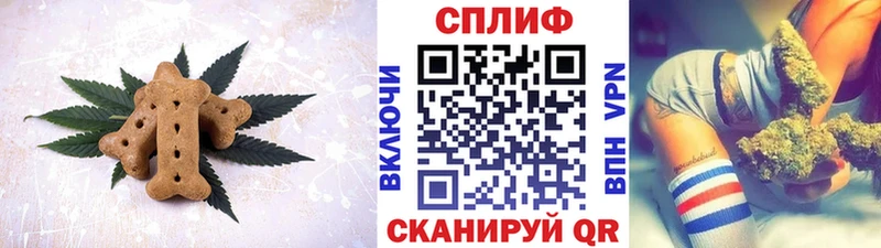 купить Старая Русса Canna-Cookies марихуана