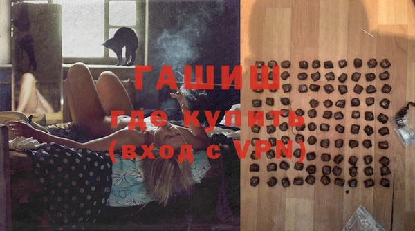 прущие грибы Лабытнанги