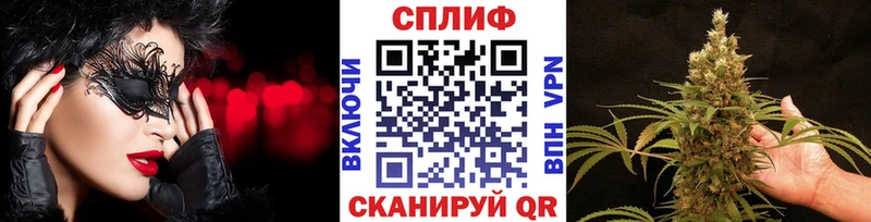 сколько стоит  Старая Русса  Конопля Ganja 